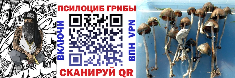 Псилоцибиновые грибы GOLDEN TEACHER Ленск